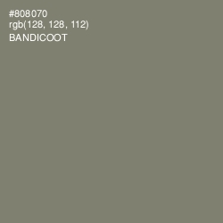 #808070 - Bandicoot Color Image