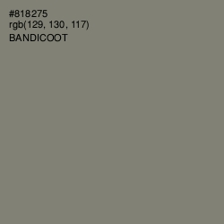 #818275 - Bandicoot Color Image
