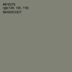 #818276 - Bandicoot Color Image