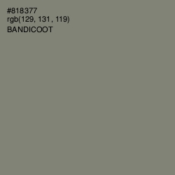 #818377 - Bandicoot Color Image