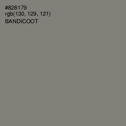 #828179 - Bandicoot Color Image