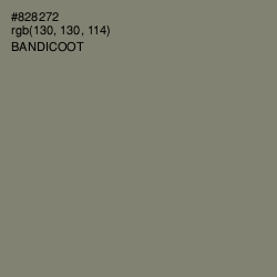 #828272 - Bandicoot Color Image