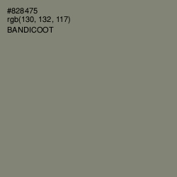 #828475 - Bandicoot Color Image