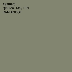 #828670 - Bandicoot Color Image