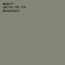 #828777 - Bandicoot Color Image