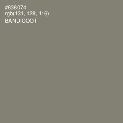 #838074 - Bandicoot Color Image