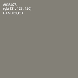 #838078 - Bandicoot Color Image