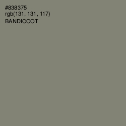 #838375 - Bandicoot Color Image