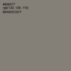 #858077 - Bandicoot Color Image