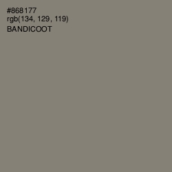 #868177 - Bandicoot Color Image