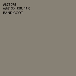 #878075 - Bandicoot Color Image