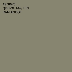 #878570 - Bandicoot Color Image