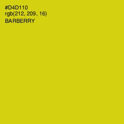 #D4D110 - Barberry Color Image