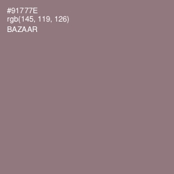 #91777E - Bazaar Color Image