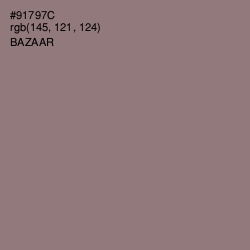 #91797C - Bazaar Color Image