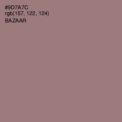 #9D7A7C - Bazaar Color Image