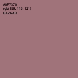 #9F7379 - Bazaar Color Image