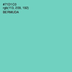 #71D1C0 - Bermuda Color Image