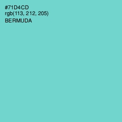 #71D4CD - Bermuda Color Image
