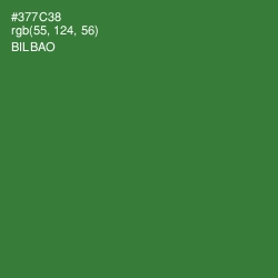 #377C38 - Bilbao Color Image