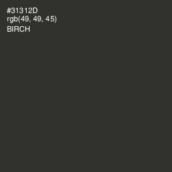 #31312D - Birch Color Image