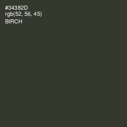 #34382D - Birch Color Image