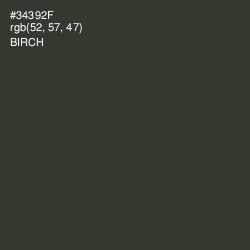 #34392F - Birch Color Image