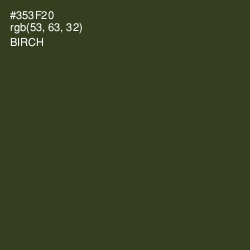 #353F20 - Birch Color Image