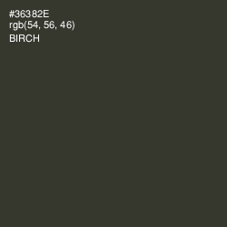 #36382E - Birch Color Image
