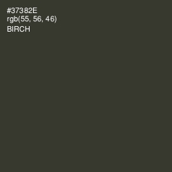 #37382E - Birch Color Image