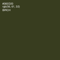 #383D20 - Birch Color Image