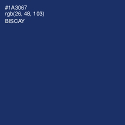 #1A3067 - Biscay Color Image