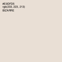 #E9DFD5 - Bizarre Color Image