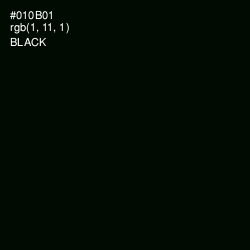 #010B01 - Black Color Image