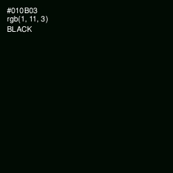 #010B03 - Black Color Image
