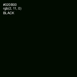 #020B00 - Black Color Image