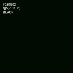 #020B02 - Black Color Image