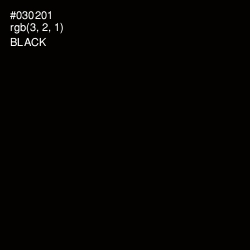 #030201 - Black Color Image