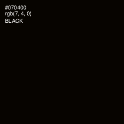 #070400 - Black Color Image