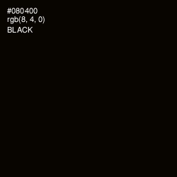 #080400 - Black Color Image