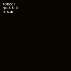 #080501 - Black Color Image
