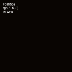 #080502 - Black Color Image