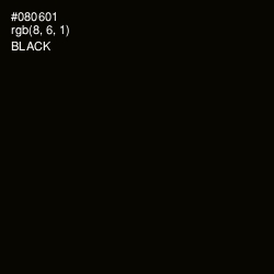 #080601 - Black Color Image