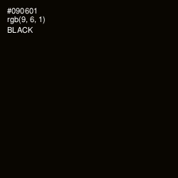 #090601 - Black Color Image