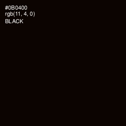 #0B0400 - Black Color Image