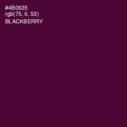 #4B0635 - Blackberry Color Image