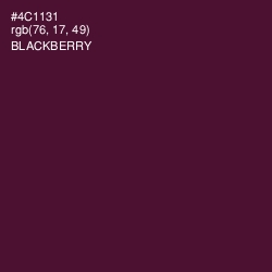 #4C1131 - Blackberry Color Image