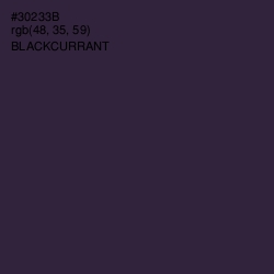#30233B - Blackcurrant Color Image