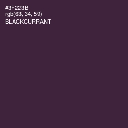 #3F223B - Blackcurrant Color Image