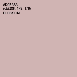 #D0B3B3 - Blossom Color Image